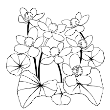 We have chosen the best marigold coloring pages which you can download online at mobile, tablet.for free and add. Beautiful Flower Coloring Page For The Youngest Children