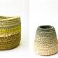 An introduction to coiled vessels