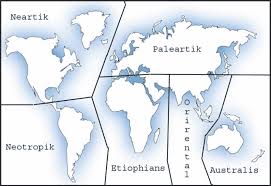 Hal ini sebagian disebabkan oleh kenyataan bahwa negeri tersebut terbentang melingkupi tidak hanya satu melainkan dua kawasan geografi kehewanan (zoogeography). Persebaran Fauna Di Dunia Pengertian Oriental Paleartik