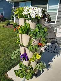 Herbs and flowers to plant together. What Flowers And Herbs Can Be Planted Together Do Not Disturb Gardening