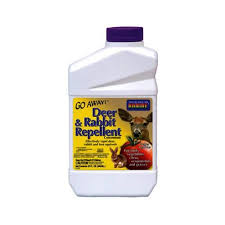 Arrived on time as stated. Hot Shot No Pest Strip 1 Ct Reviews 2021