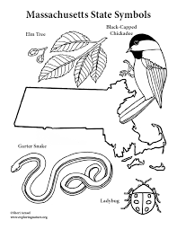 Coloring and activity books for all ages: Massachusetts State Symbols Coloring Nature