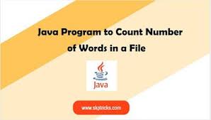 Java Program To Count Number Of Words In A File Words About Me Blog Counting