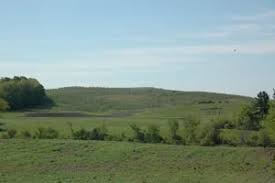 Bearing season for different varieties of the same fruit, so you can extend the harvest season. Tree Fruit Horticulture Frost And Cold Hardiness Considerations In Vermont Apple Orchards Terence Bradshaw University Of Vermont Apple Program Research Specialist In Cold Temperate Regions Such As Vermont Considerations For Tree Response To Low