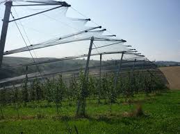 Agretto agricultural machinery mail : Organic Sustainable Farming In The United States Building The Family Kingdom