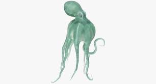 Blue Octopus Swiming Pose 3d Model Ad Octopus Blue Swiming Model 3d Model Real Model Octopus