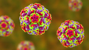Touching an infected surface, like a door handle. Could Disabling One Protein Cure The Common Cold Science News For Students