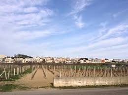 San marzano di san giuseppe. Dewiki San Marzano Di San Giuseppe