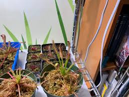 It starts to work in just 24 hours to prevent and control 26 different lawn diseases for up to. Scott S Disease Ex Test Results Terraforums Venus Flytrap Nepenthes Drosera And More Talk