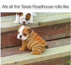 See more ideas about texas roadhouse, texas, valentines steak. Dopl3r Com Memes Ate All The Texas Roadhouse Rolls Like