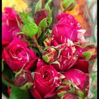 We are a floral wholesaler dedicated to providing local businesses with the highest quality blooming and green plants,. Northwest Wholesale Florist Georgetown 0 Tips