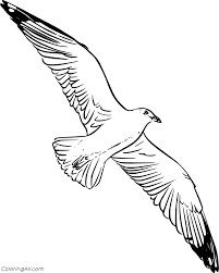 Some of the coloring page names are seagull coloring at, coloriage mouette en vol coloriages click on the coloring page to open in a new window and print. Seagull Coloring Pages Coloringall