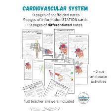 Image result for Cardiovascular Worksheets