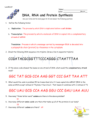 dna triplets mrna codon amino acid match