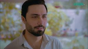 Main Aap Se Shadi Karna Chahta Hoon