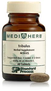 Image result for Tribulus terrestris