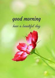 Good Morning Wallpapers Images Pictures Good Morning Images Good Morning Nature Latest Good Morning Images