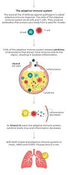 Darker skin, for example, and sunscreen, reduce the body's ability to absorb the ultraviolet radiation b (uvb) rays from the sun. Vitamin D And Covid 19 Could Low Vitamin D Levels Affect Coronavirus