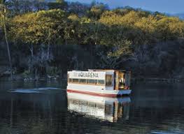 If these bring back memories for you, you likely visited aquarena springs in san marcos when it was in. San Marcos Springs Evolving Door Texas Co Op Power