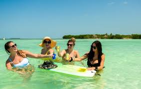 Image result for Selago barabei