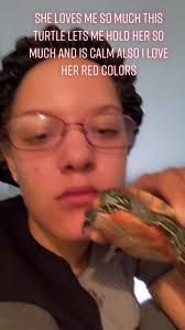 Turtle Shell Stomach