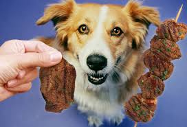 Toxic And Dangerous Foods Your Dog Should Never Eat