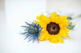 297x516 sunflower financial images clip art. Yellow Images Pictures And Free Stock Photos