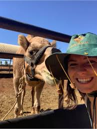 Hey! I'm 22years old French girl currently in Melbourne! I'm thinking to do  a little road trip between cairns and Brisbane or a smaller part doesn't  matter :)) If someone have plan