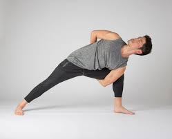 Ashtanga vinyāsa yoga, was brought to light by sri k. Online Level 1 Ashtanga Yoga Course With Donna Mccafferey Live Online