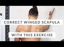 And that's what you do.you check everything you can reach, touch and see in the wing, pod and depends on what the problem is, how hard it is to fix and can i get the parts on a weekend etc. Correct Winged Scapula Don T Skip This Scapular Rotation Exercise Youtube Winged Scapula Scapula Exercises Winged Scapula Exercises