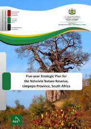 Image result for Tinnea rhodesiana