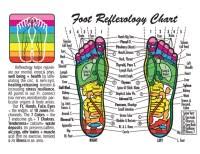 Foot Chart Origin Muscle Origin And Insertion
