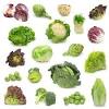 Are you getting enough estrogen in your body? 1