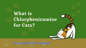 What is the dosage for cyproheptadine, and how should i take it? Antihistamines For Cats Sneezing What You Need To Know Pro Active Pet Products