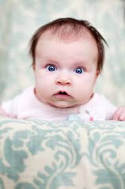 robin mcalister photography