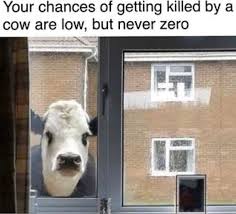 15 dancing polish cow sound variations in 60 seconds. Don T Have A Cow Man Do Have A Cow Meme 25 Pics