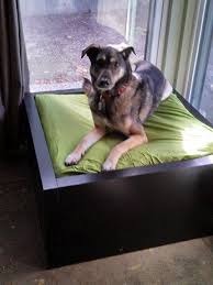 Are ikea dog beds even worth buying? Every Dog Owner Should Know About These 11 Ikea Hacks