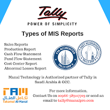 Mis Stands For Management Information System From Business Managers Assistant Managers To Executive Management Information Systems Cash Flow Statement Report