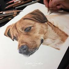 Thirdly, for ear and mouth draw oval like shape, and again concentric circle on one eye. How To Draw Realistic Dog Drawing Tutorial Etsy