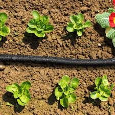 Maybe you would like to learn more about one of these? Comment Arroser Le Potager