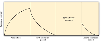 8 1 learning by association classical conditioning