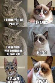 Hilarious animal meme for anniversary. Funny Cat Quotes For Work Funny Cat Wall Art Print Modern Quote Wall Art Printable Etsy Dogtrainingobedienceschool Com
