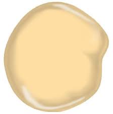 Benjamin moore best gray paint colors for living room. Sunshine On My Shoulder Paint Colors For Home Foyer Paint Colors Laundry Room Colors