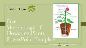 In higher plants air enters the leaves and young stems by the stomata and through the lenticels in older stems in which secondary growth has taken place. Free Biology Google Slides Themes Powerpoint Templates For Presentations