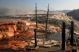 We did not find results for: Mammoth Hot Springs Wikipedia