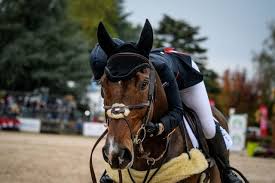 Travelling reserve, piggy march (brookfield inocent). It S What Dreams Are Made Of Laura Collett Takes Wire To Wire Pau Victory Eventing Nation Three Day Eventing News Results Videos And Commentary