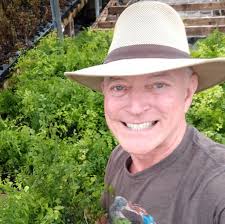 Gardens by Jeffrey Bale