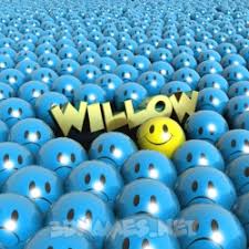 Willow 3d Name Wallpaper Willows, also called sallows and osiers, form the genus salix, are around 400 species of deciduous trees and shrubs, found primarily on moist soils in cold and temperate regions of the northern. willow 3d name wallpaper