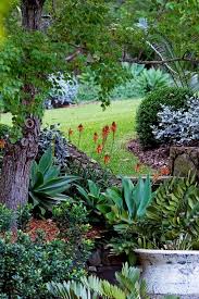 A foamflower is a wildflower that needs partial to heavy shade. Shade Loving Flowers That Effortlessly Brighten Dark Areas Australian Garden Design Woodland Plants Australian Garden
