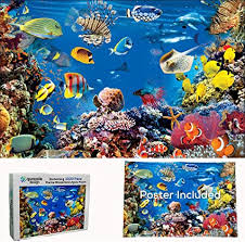Vimzone 1000 piece jigsaw puzzle for adults, diy floor puzzles with high definition printing for grown ups kids, ideal educational games for relaxation, meditation, hobby upcoming deal 81736023 Amazon Com Quazzie Design Jigsaw Puzzles For Adults 1000 Piece Ocean Scene With Fish Adult Jigsaw Puzzle For Kids And Teens Too A Cool Colorful Hard Jigsaw Puzzle With Sturdy Pieces And It